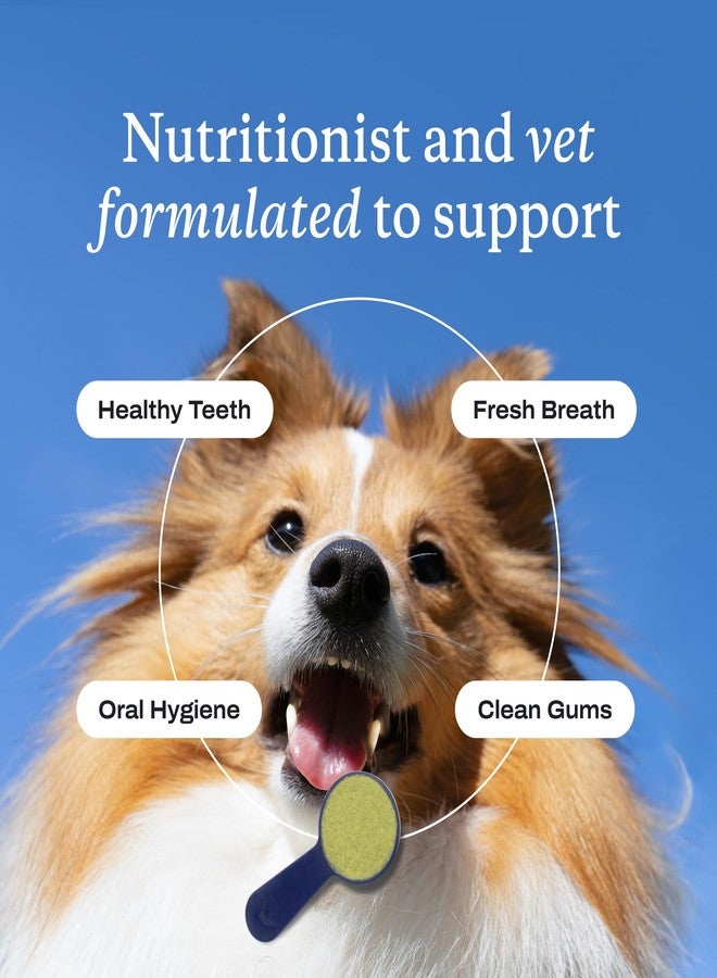 PetLab Co. ProBright Dental Powder - Dog Breath Freshener - Teeth Cleaning Made Easy – Targets Tartar & Bad Breath - Formulated for Extra Small Dogs - Pack of 2 - Image 4
